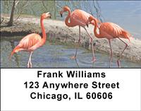 Lakeside Flamingos Address Labels