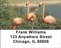 Lakeside Flamingos Address Labels