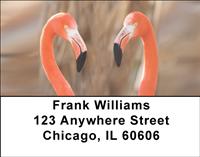 Elegant Flamingos Address Labels