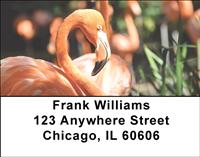 Elegant Flamingos Address Labels
