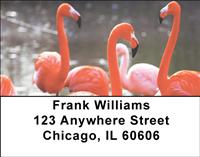Elegant Flamingos Address Labels