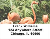 Elegant Flamingos Address Labels