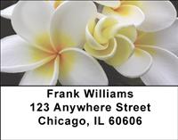 Hawaiian Flowers Address Labels