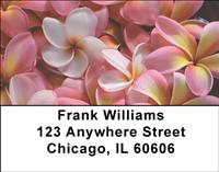 Hawaiian Flowers Address Labels