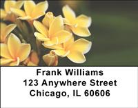 Hawaiian Flowers Address Labels