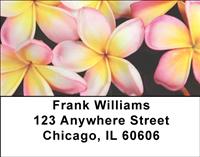 Hawaiian Flowers Address Labels