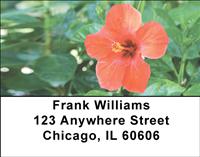 Red Hibiscus Address Labels