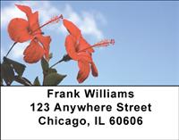 Red Hibiscus Address Labels