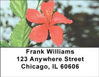 Red Hibiscus Address Labels