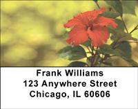 Red Hibiscus Address Labels