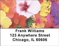 Tropical Flowers Address Labels