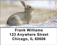 Cotton Tail Rabbit Address Labels