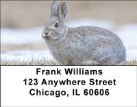 Cotton Tail Rabbit Address Labels