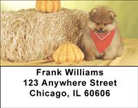 Proud Pomeranians Address Labels