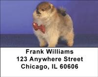 Proud Pomeranians Address Labels