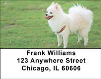 White Pomeranians Address Labels