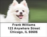 White Pomeranians Address Labels