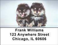 Pom Puppies Address Labels