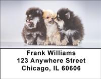 Pom Puppies Address Labels