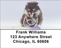 Pom Puppies Address Labels