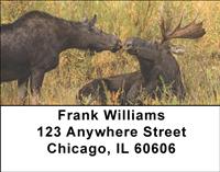 Moose Couples Address Labels