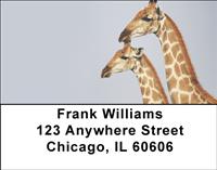 Giraffe Couples Address Labels