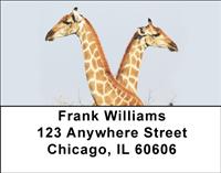 Giraffe Couples Address Labels