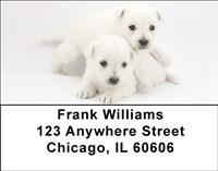 Westie Puppies Address Labels