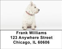 Westie Puppies Address Labels