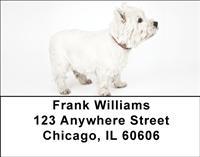 Westie Puppies Address Labels