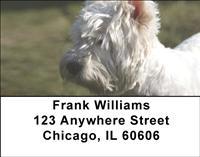 Westies Address Labels
