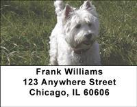 Westies Address Labels