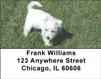Westies Address Labels