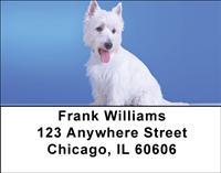 Classic Westies Address Labels