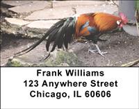 Colorful Roosters Address Labels