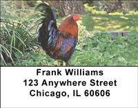 Colorful Roosters Address Labels