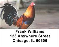 Colorful Roosters Address Labels