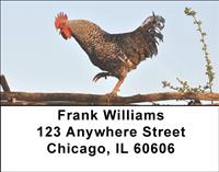 Crowing Roosters Address Labels