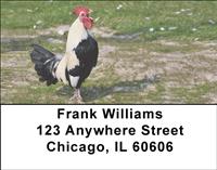 Crowing Roosters Address Labels