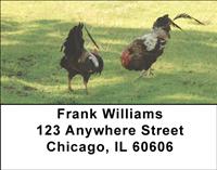 Rooster Challenge Address Labels