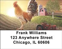 Rooster Illustrations Address Labels