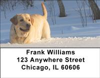 Yellow Labs In The Snow Address Labels