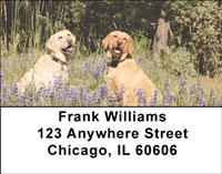 Yellow Labs Outdoors Address Labels