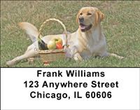 Yellow Labs Outdoors Address Labels