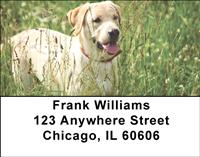 Playful Yellow Labs Address Labels