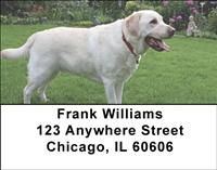 Playful Yellow Labs Address Labels