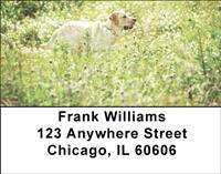 Playful Yellow Labs Address Labels