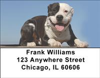 Pitbull Puppies Address Labels