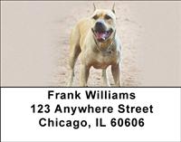 Pitbull Guard Dogs Address Labels