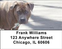 Pitbull Guard Dogs Address Labels